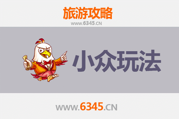 泰兴小众玩法探秘：银杏深处的水乡慢旅行